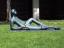 Reclining Figure, Unknown, Northeastern Univ